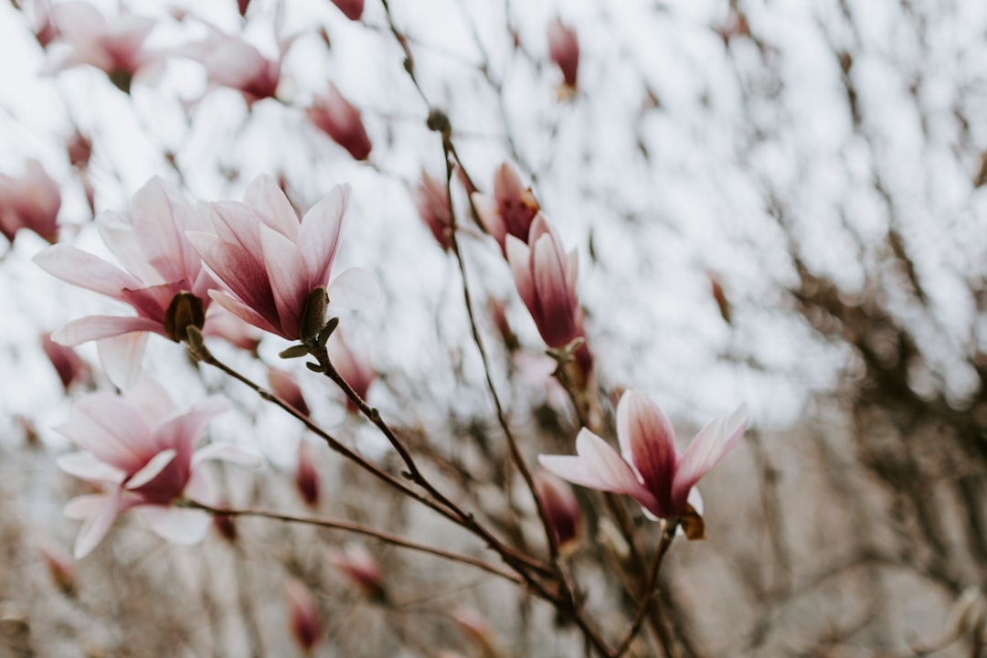 jeux anniversaire 6 ans ext&eacute;rieur​ 3
