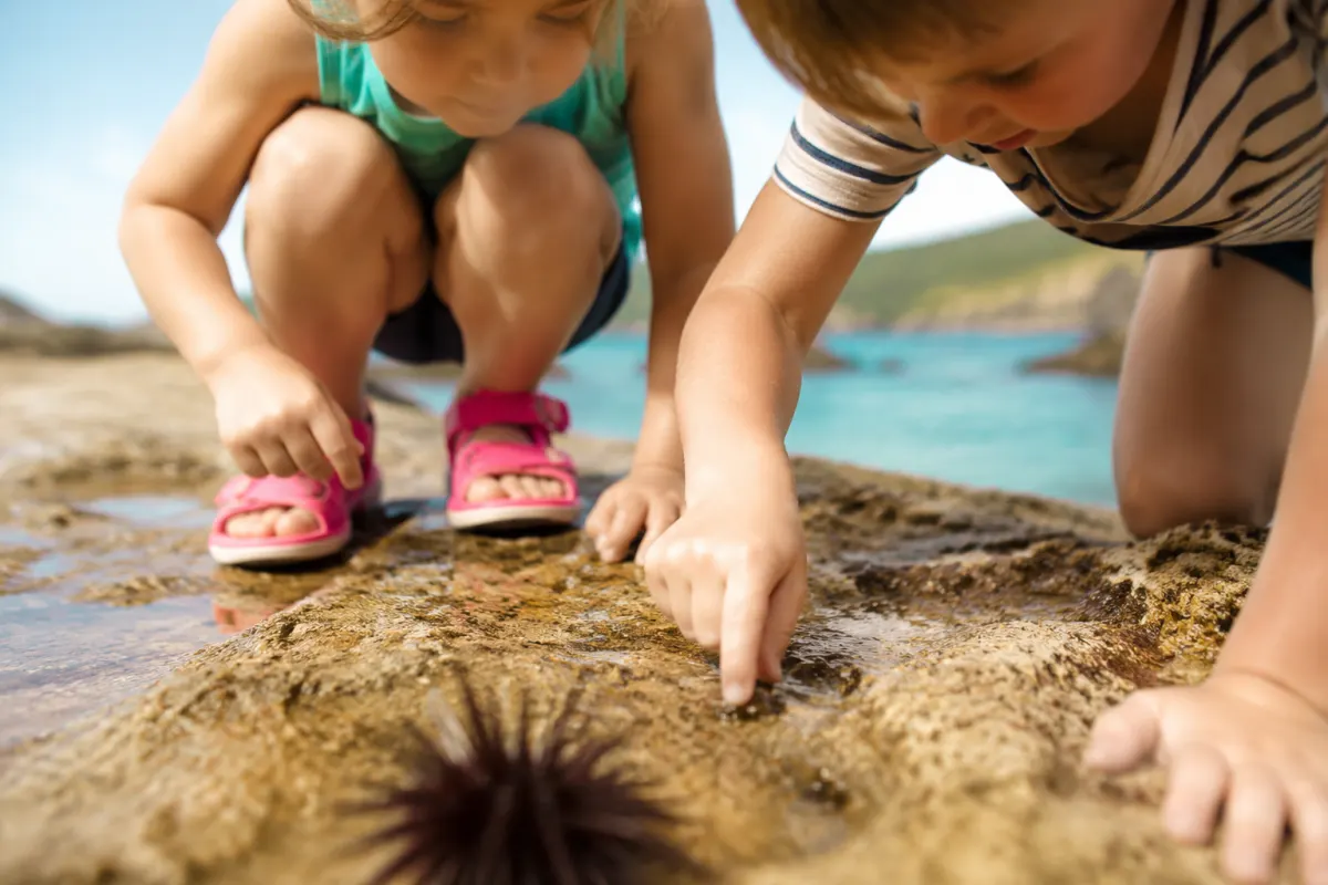 Enfant qui observe des tortues marines depuis le bord de l'eau au Cap-Vert